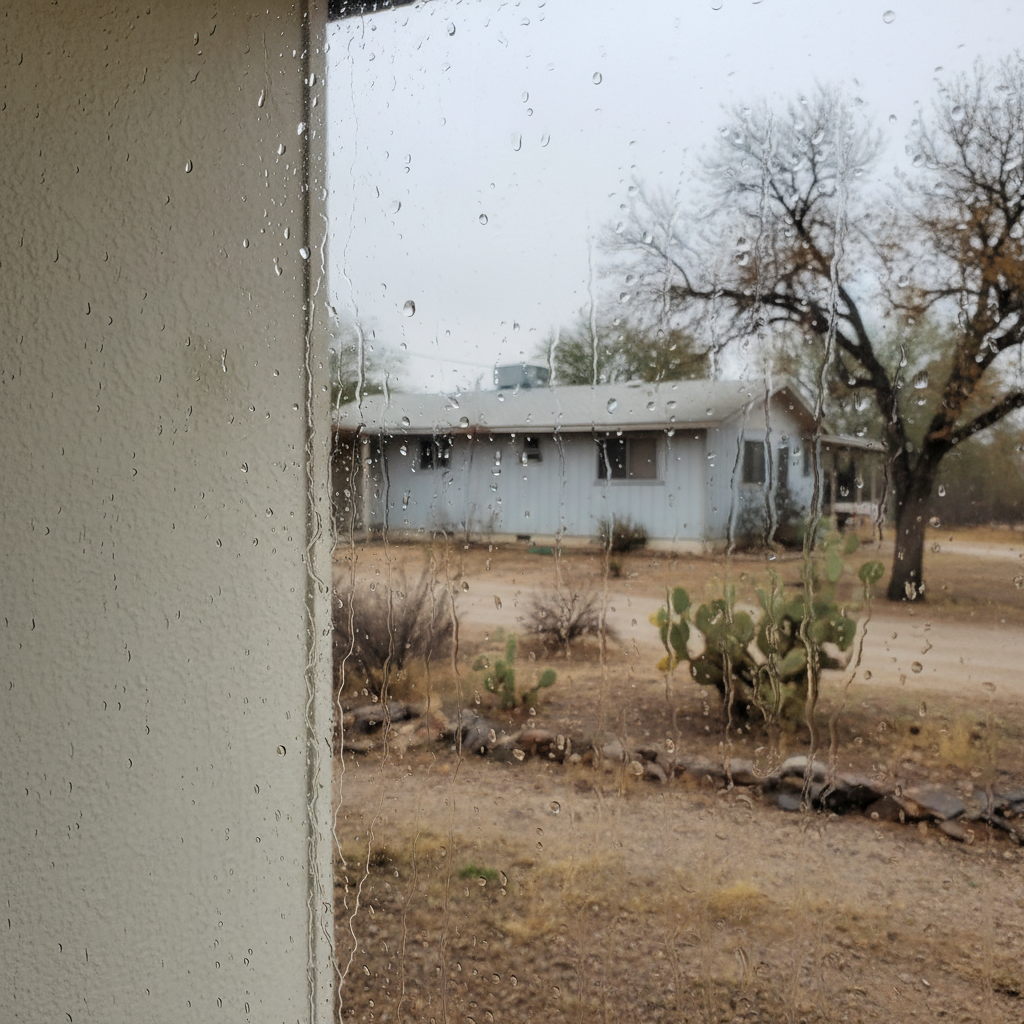 Dehumidification Services