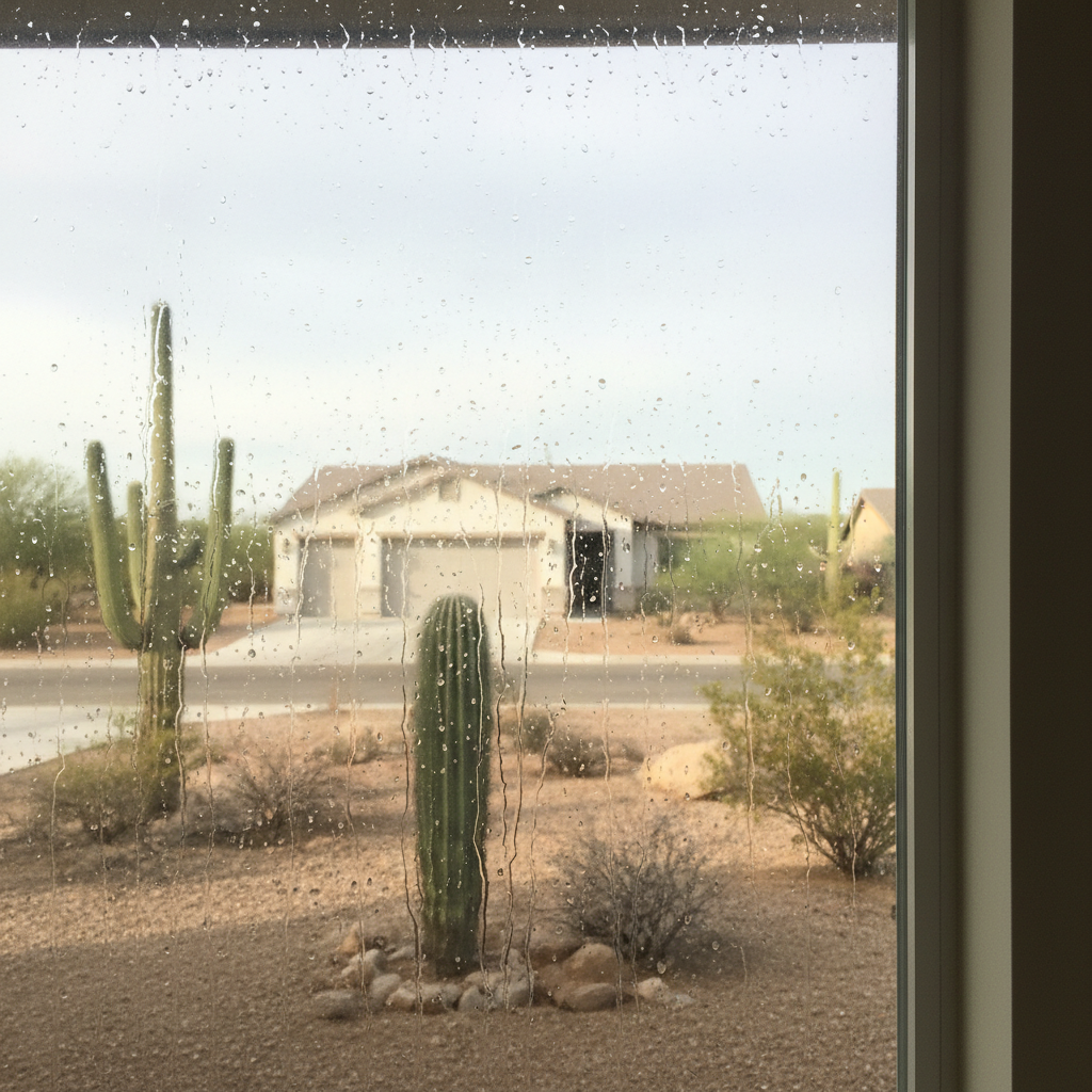 Dehumidification Services