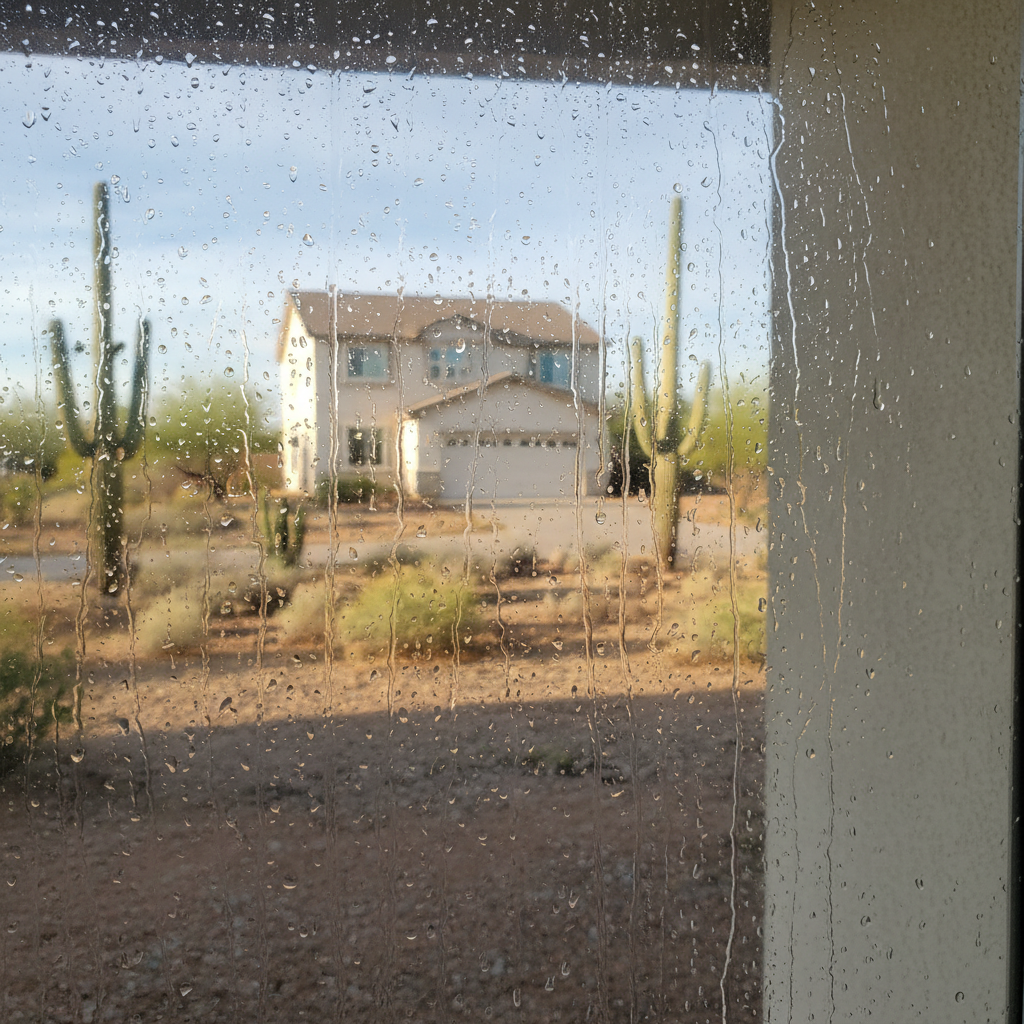 Dehumidification Services