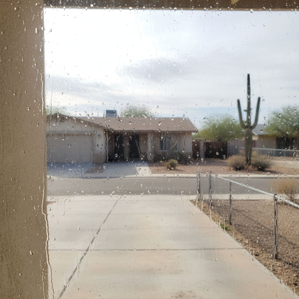 Dehumidification Services in Glendale