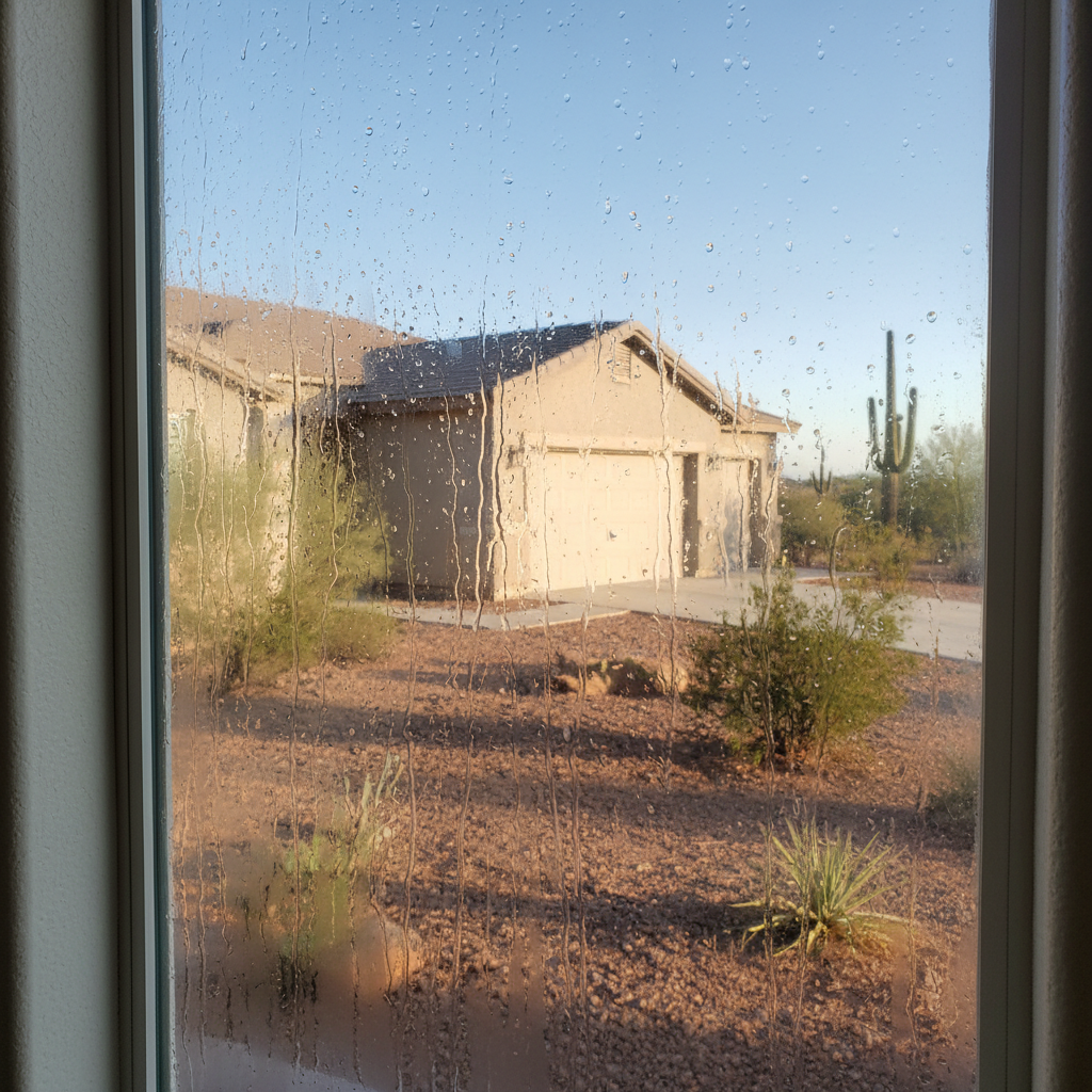 Dehumidification Services