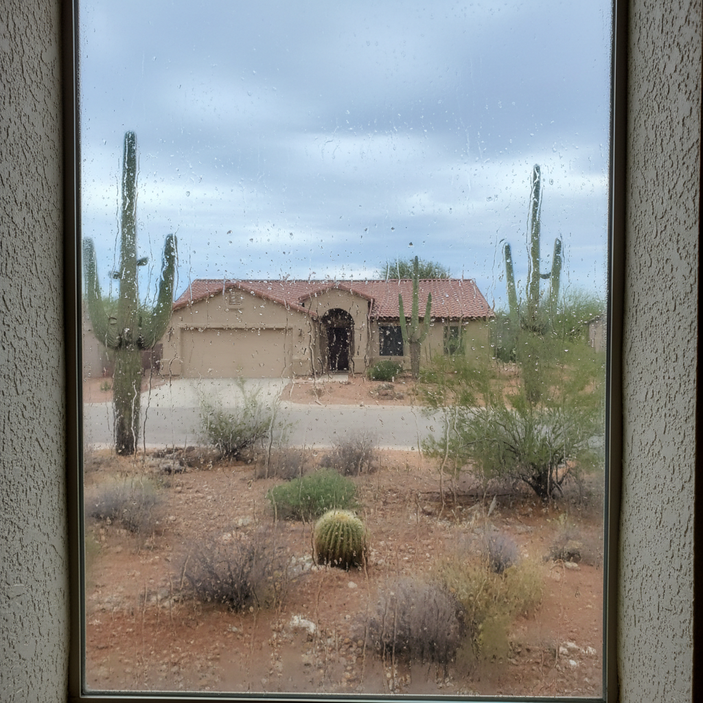 Dehumidification Services in Scottsdale