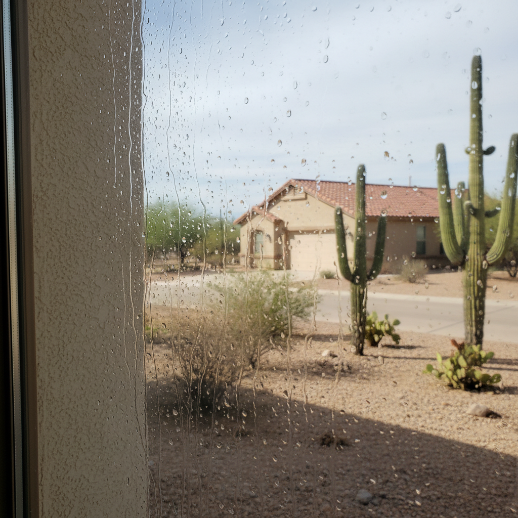 Dehumidification Services