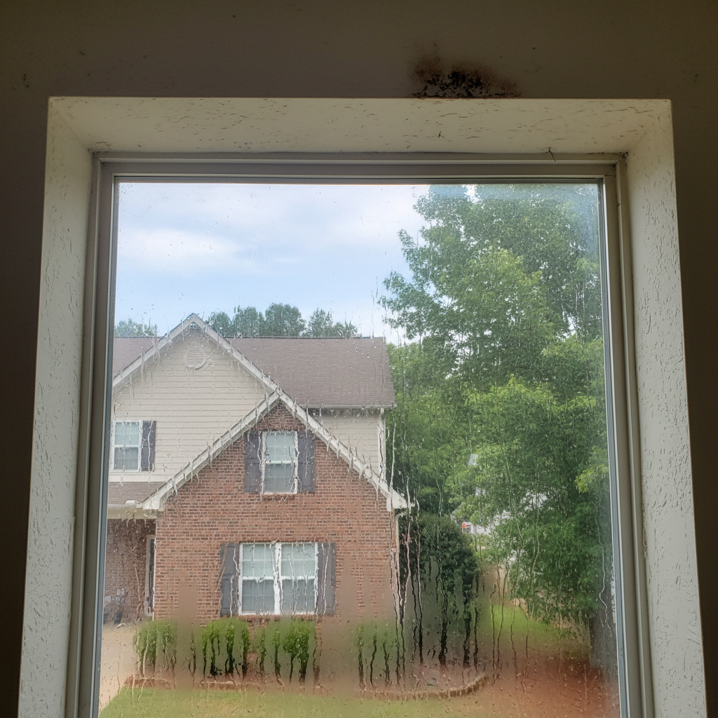 Dehumidification Services in Marietta