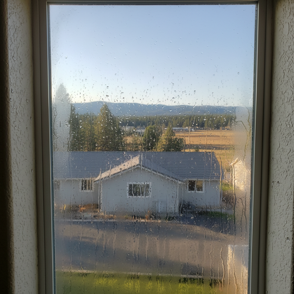 Dehumidification Services