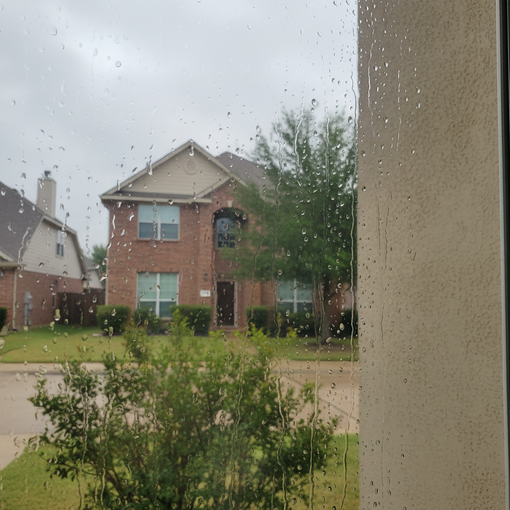 Dehumidification Services