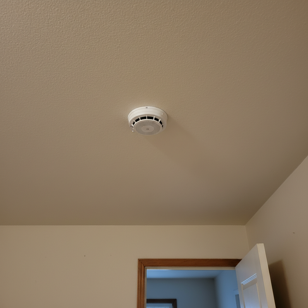 Smoke and Fire Damage Restoration in Southmayd