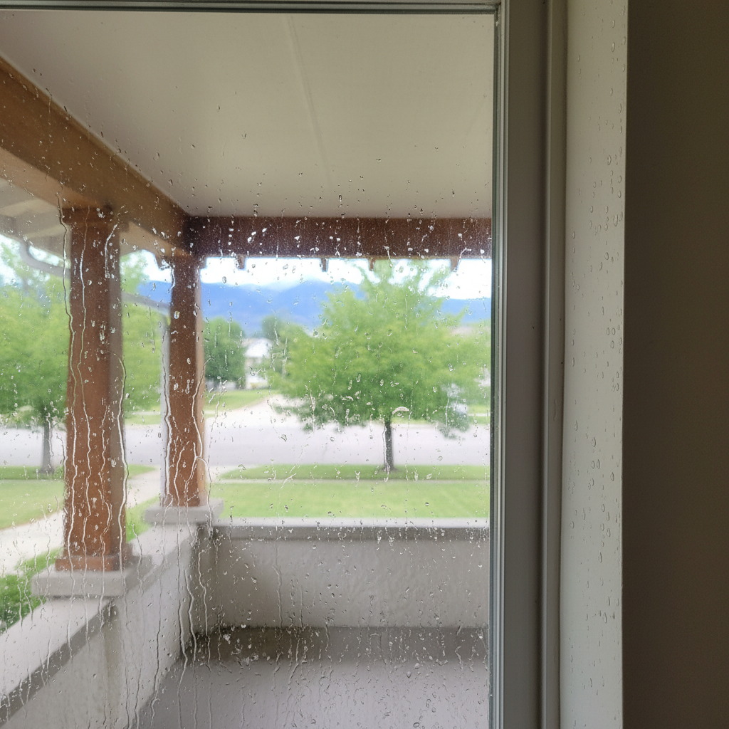 Dehumidification Services