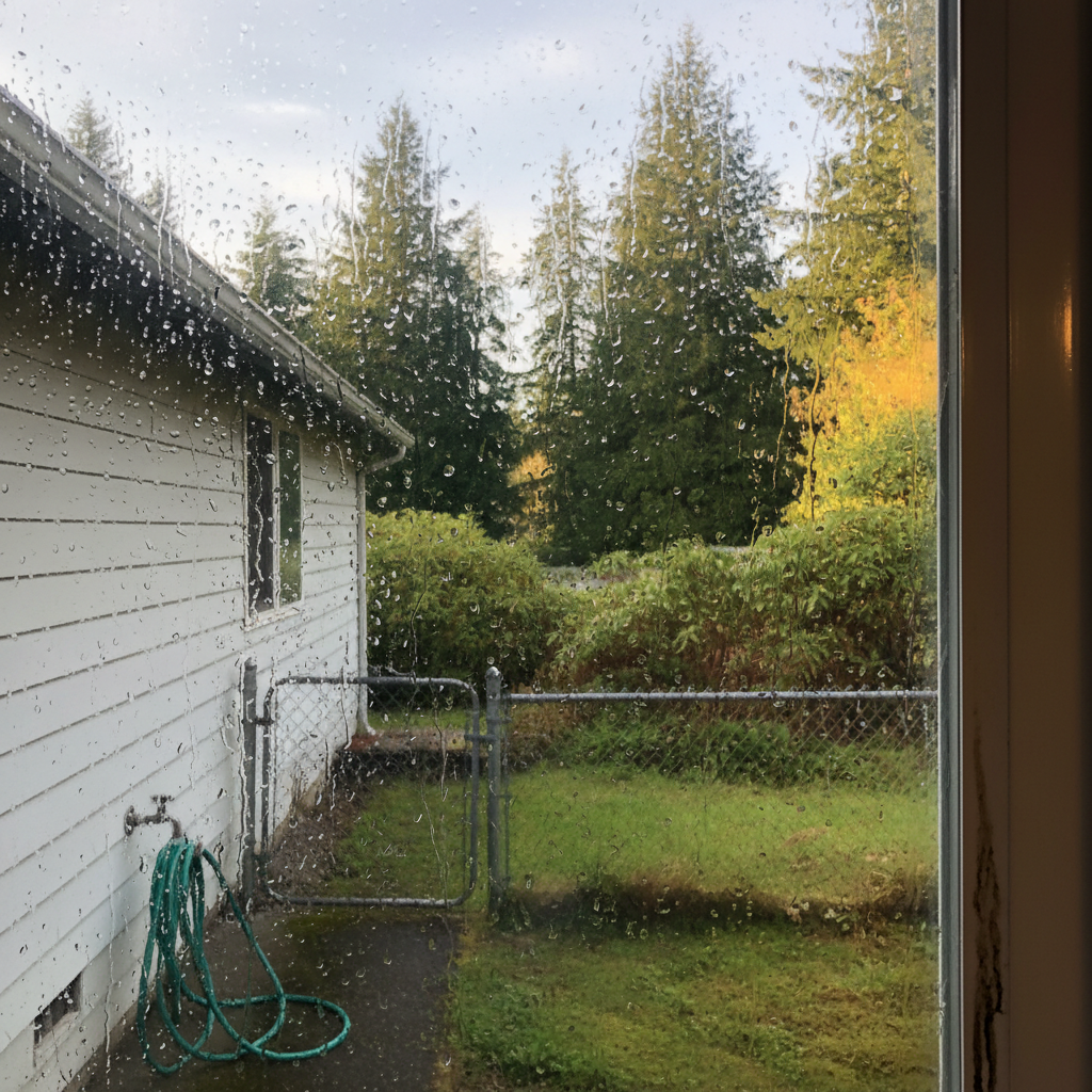 Dehumidification Services