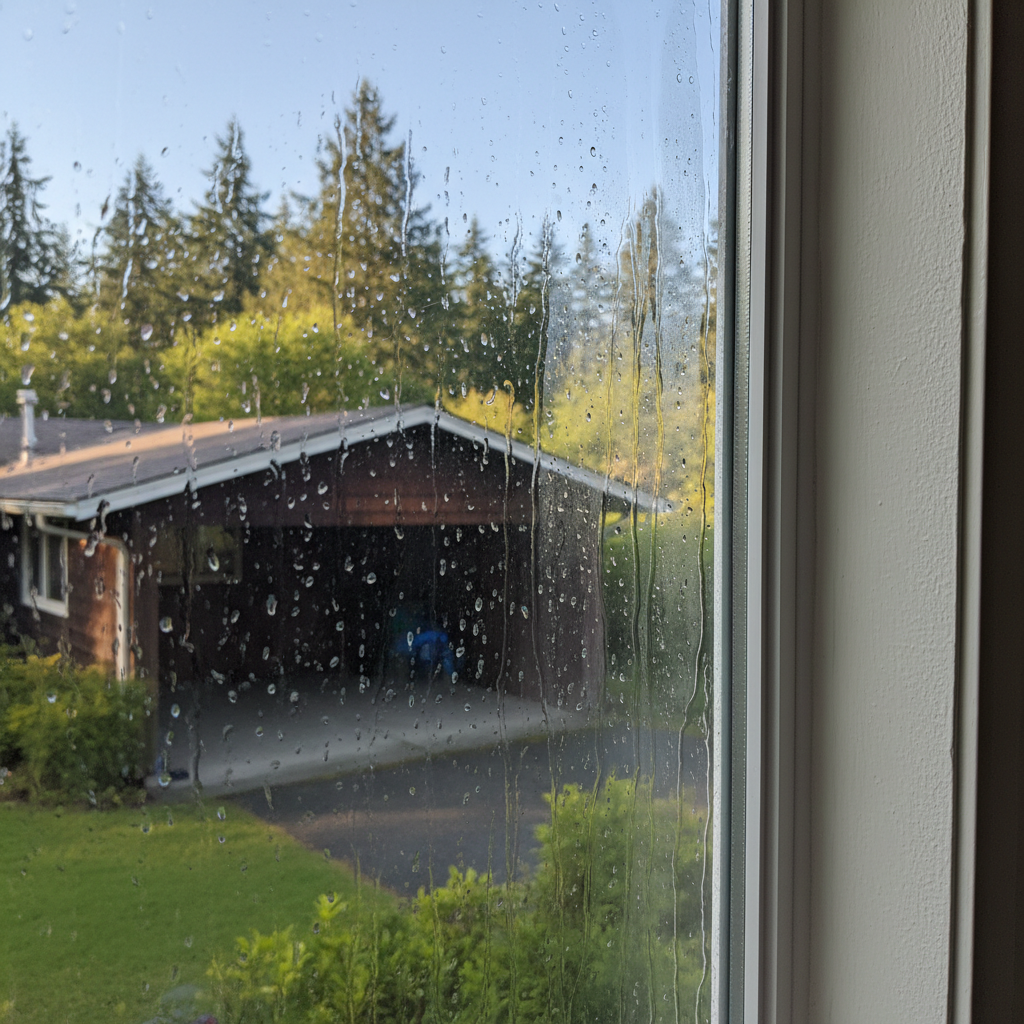 Dehumidification Services in Granite Falls