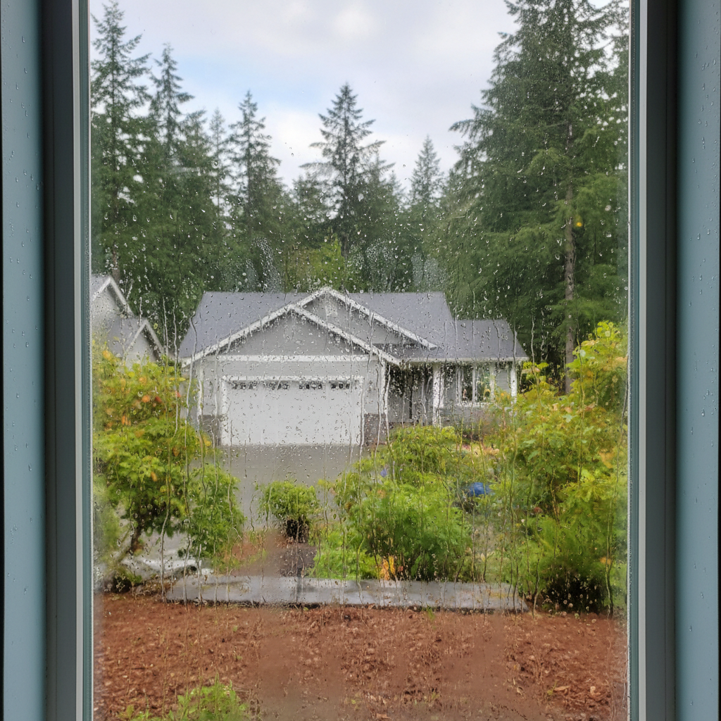 Dehumidification Services