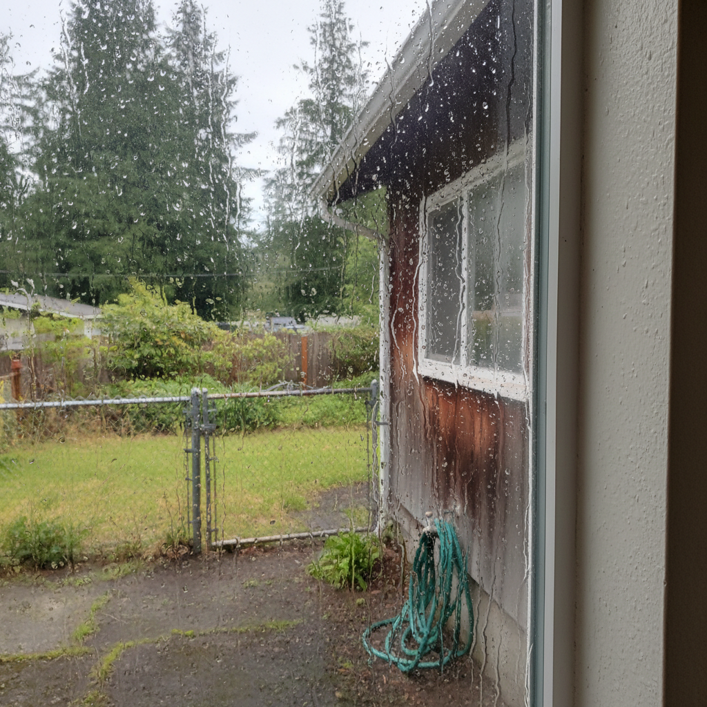 Dehumidification Services in Monroe