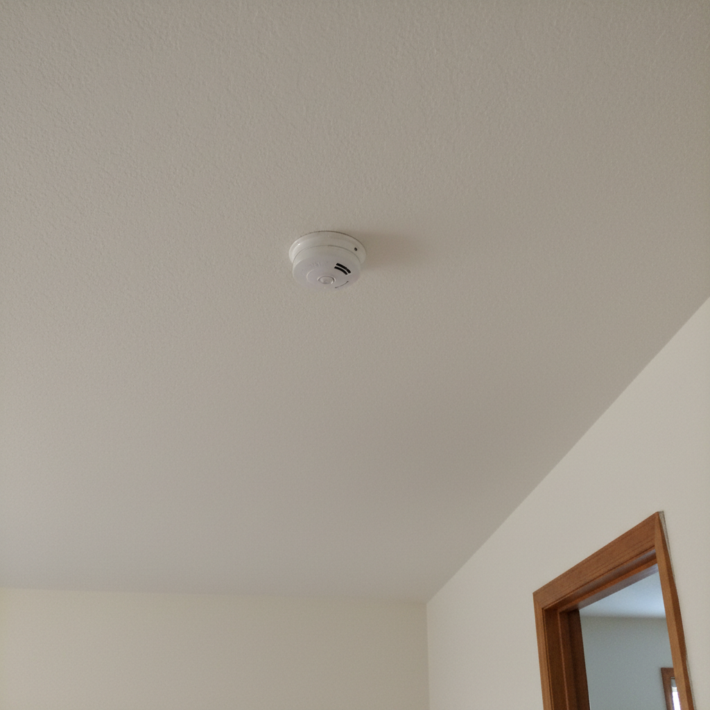 Smoke and Fire Damage Restoration in Duncanville