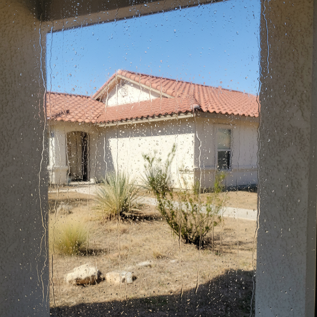 Dehumidification Services