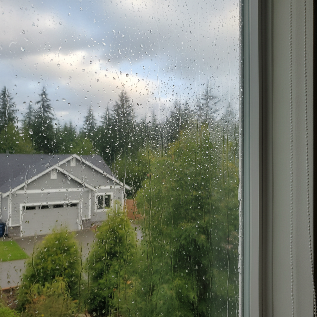 Dehumidification Services