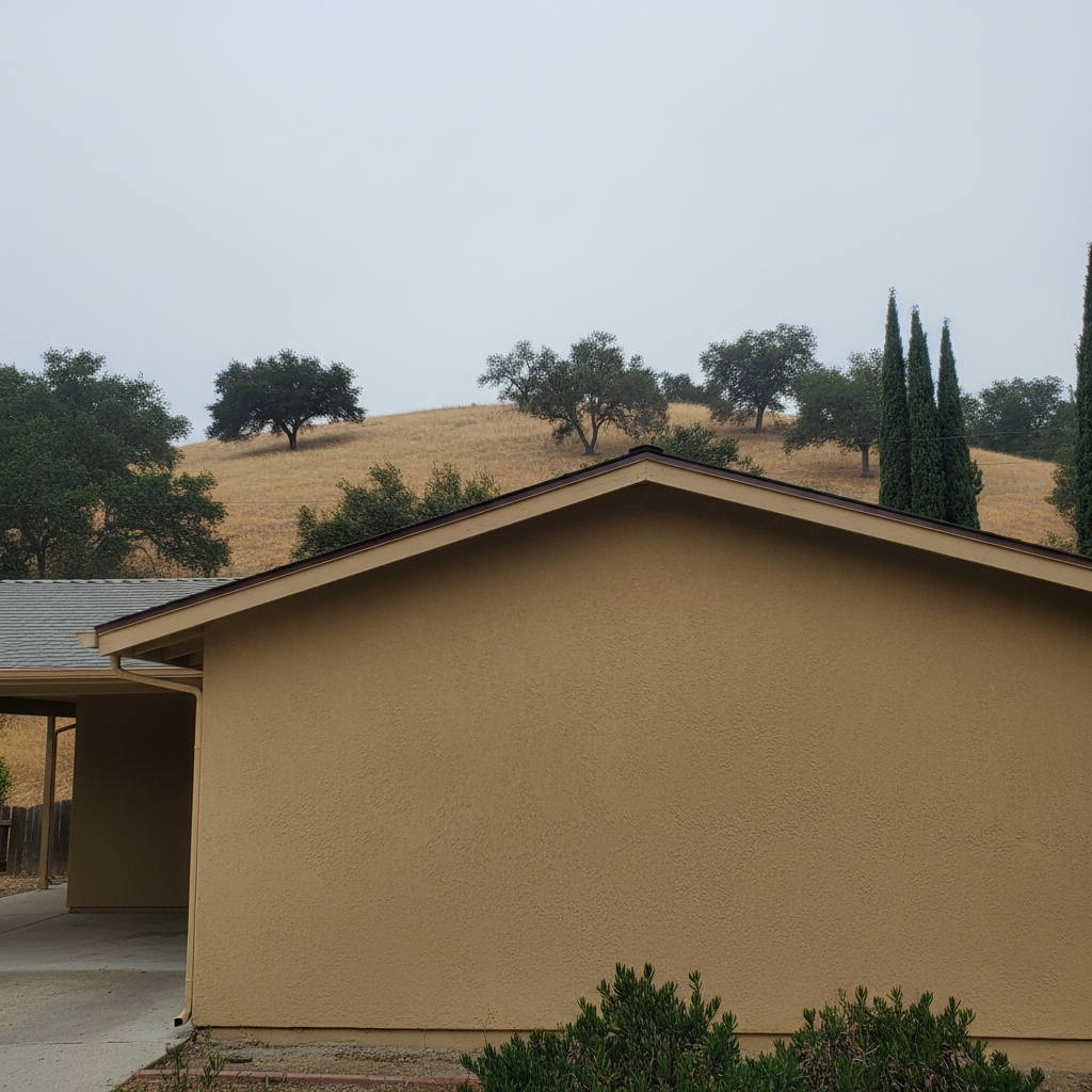 Stucco Painting