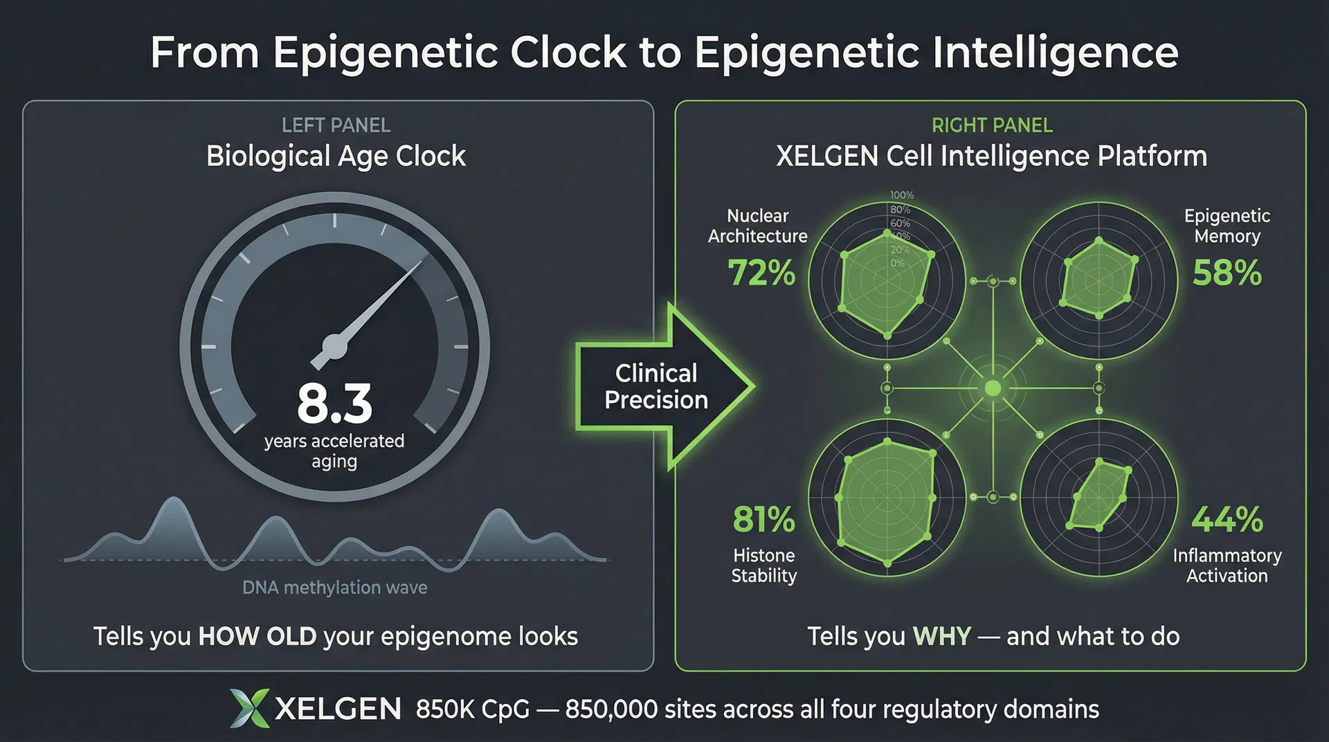 From Epigenetic Clock to Epigenetic Intelligence