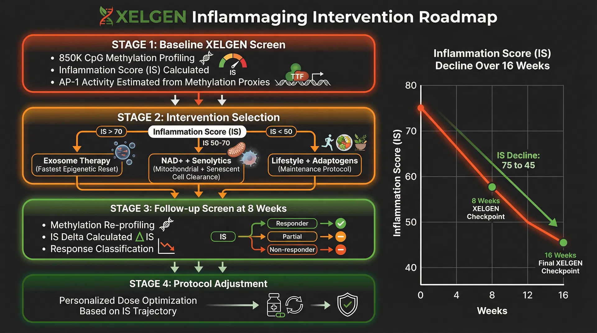 XELGEN Inflammaging Intervention Roadmap