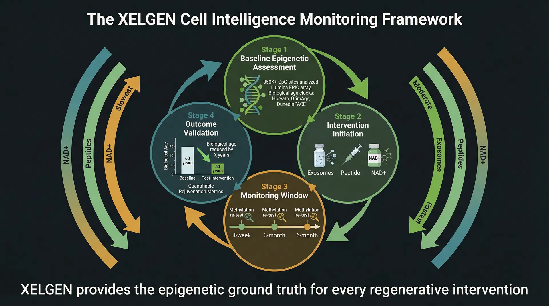 The XELGEN Cell Intelligence Monitoring Framework