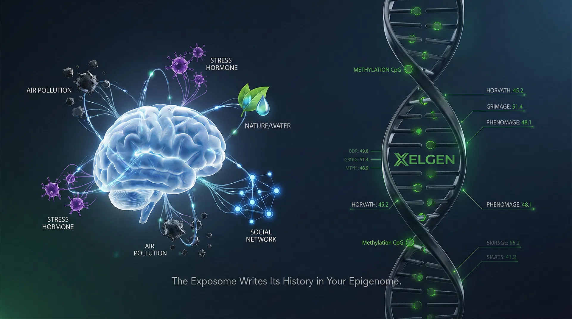 Why Single Biomarkers Fail: The Case for Multi-Factor Epigenomic Intelligence in Biological Age Assessment