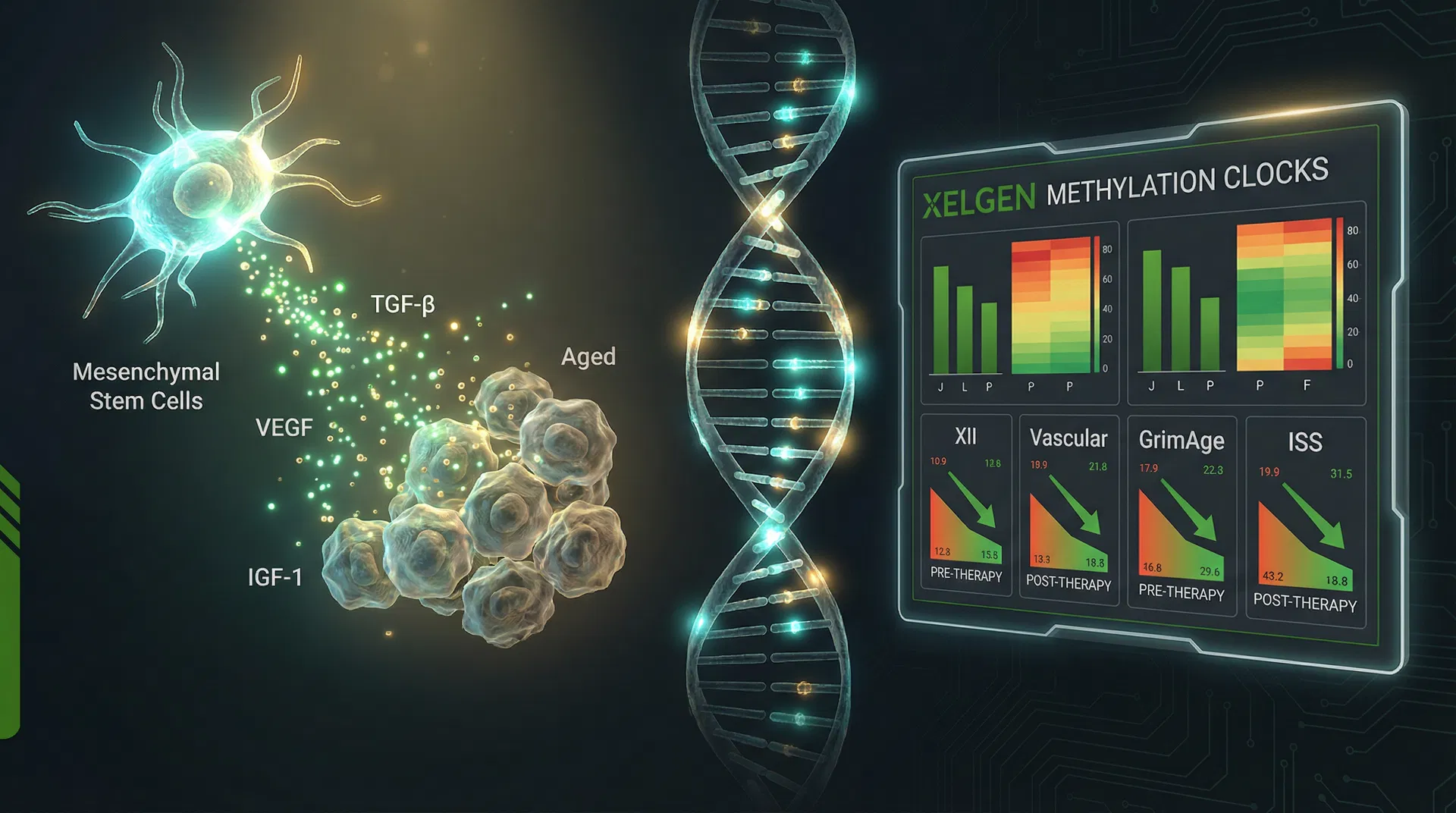 Stem Cell Therapy & Epigenetic Response: How to Dose, Time, and Measure