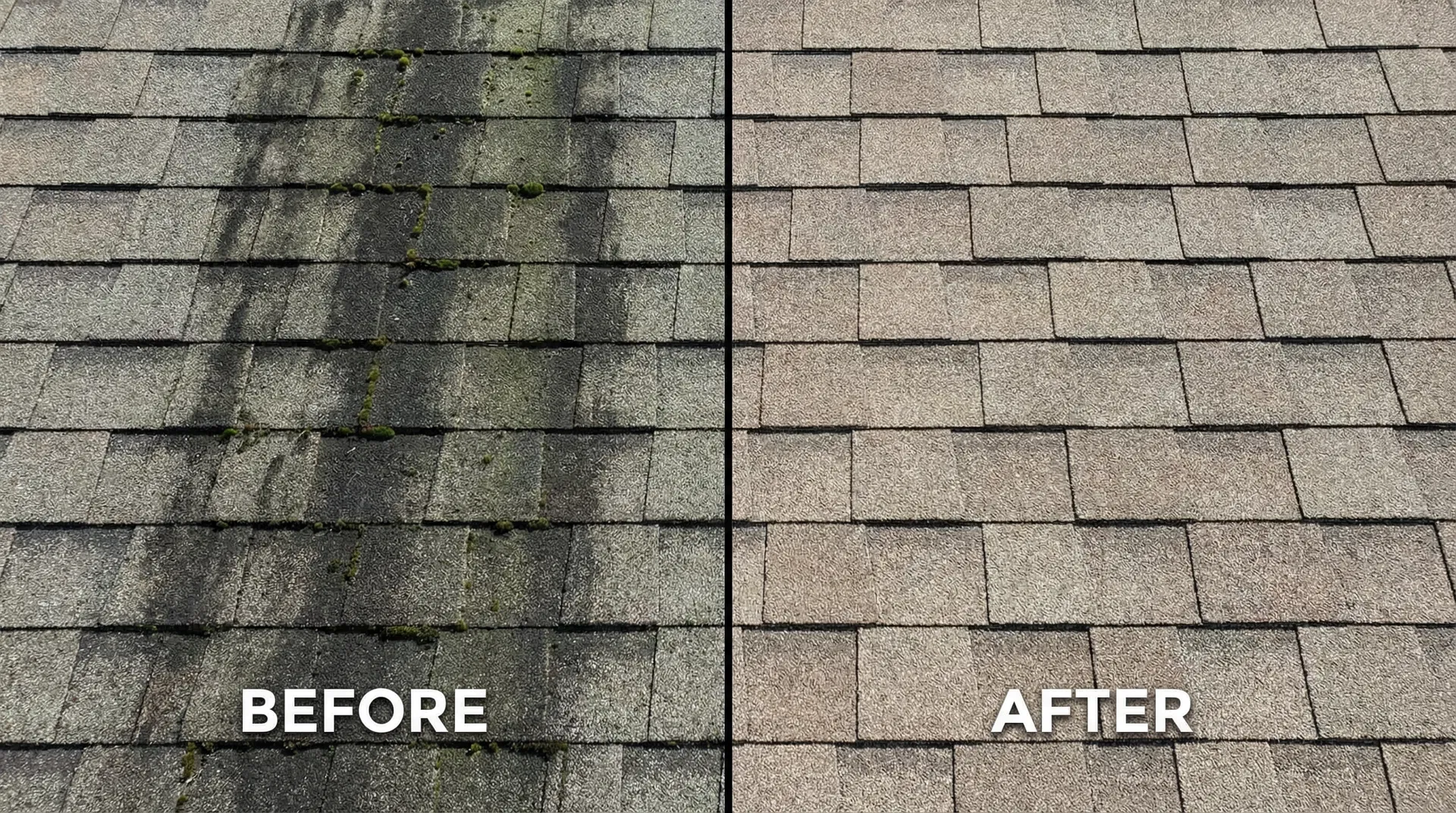 Soft Wash Roof Cleaning