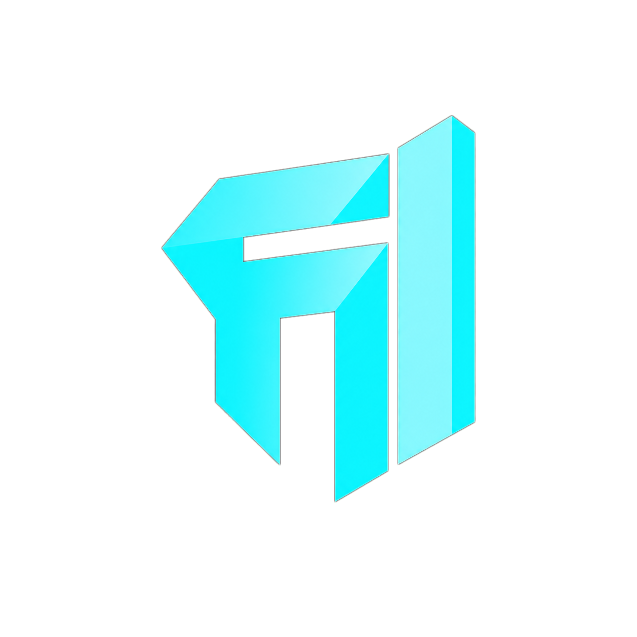 FI