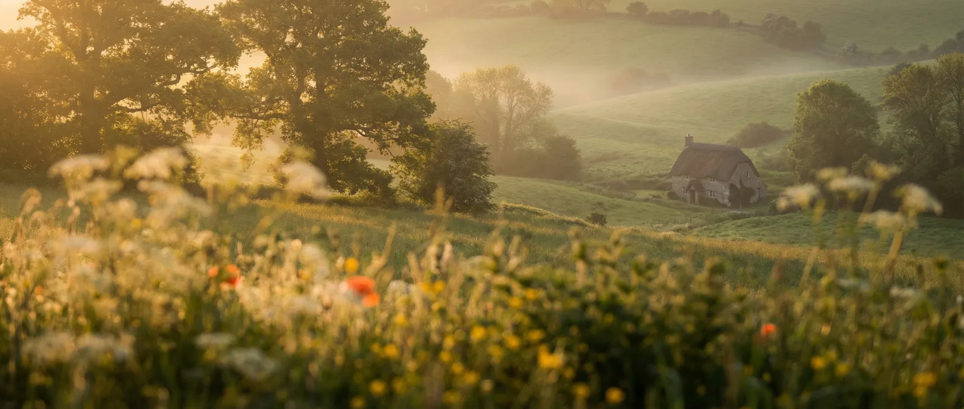 Countryside background for call to action section