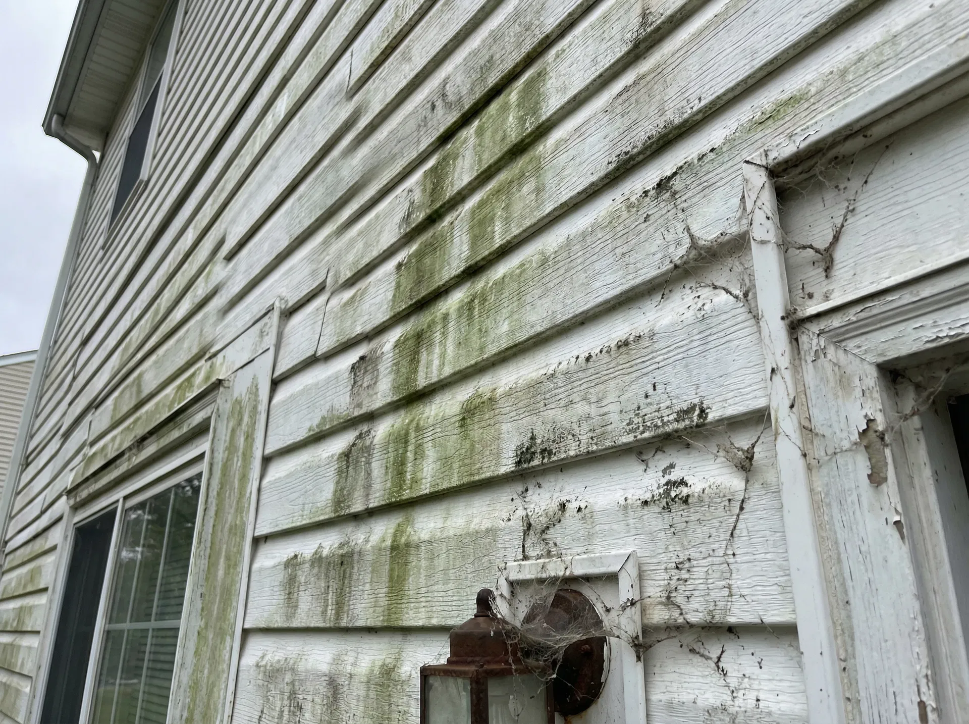 Dirty vinyl siding with green algae before house washing in Warrington PA
