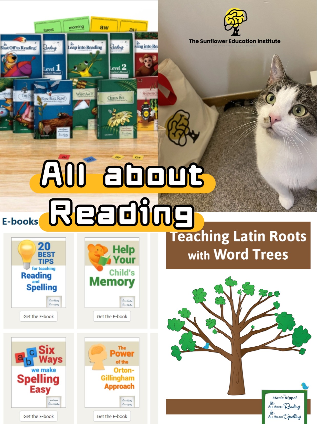 All About Reading：阅读障碍儿童英语学习