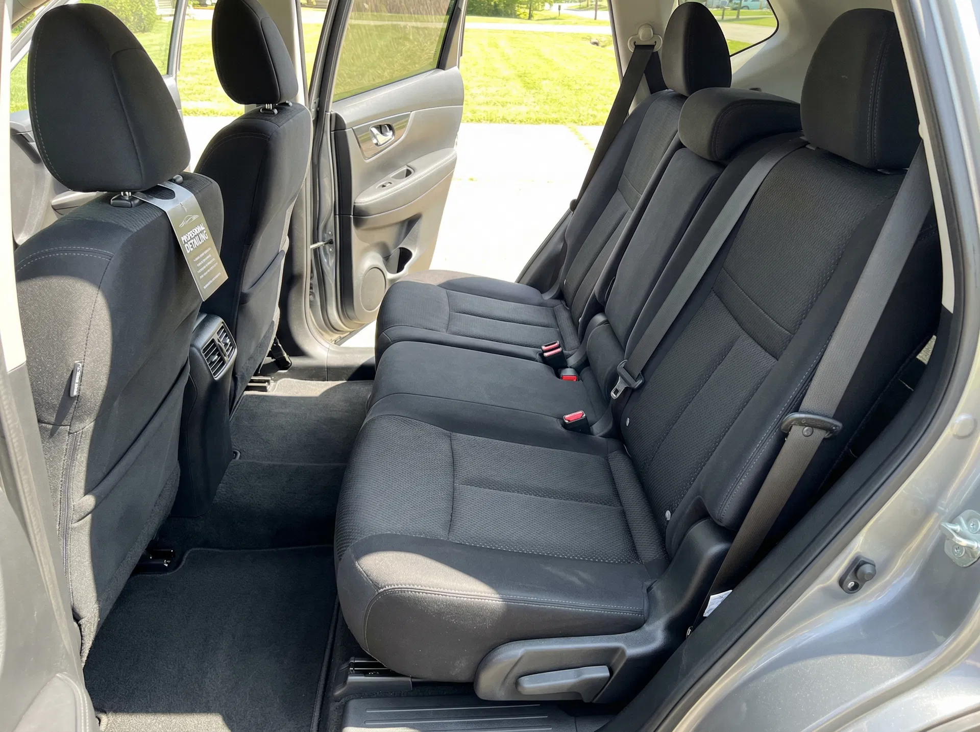 Dog Hair Removal - After