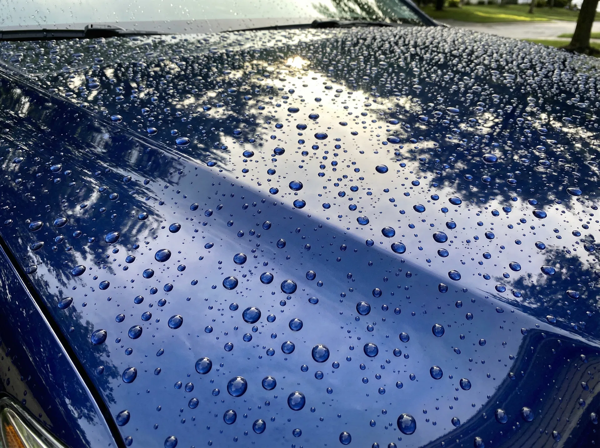 Hydrophobic Paint Protection - After