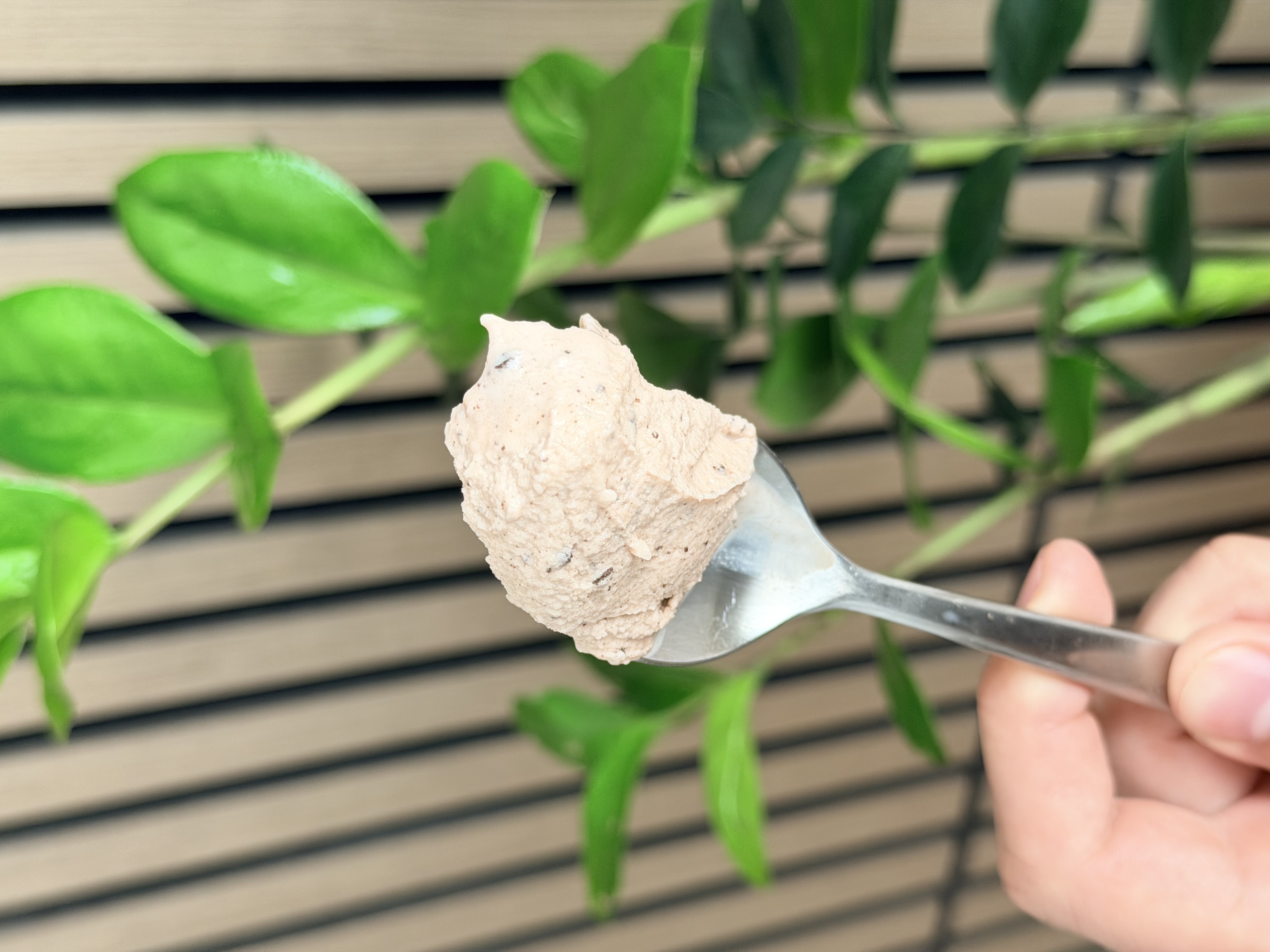 Ascent Chocolate review photo 2