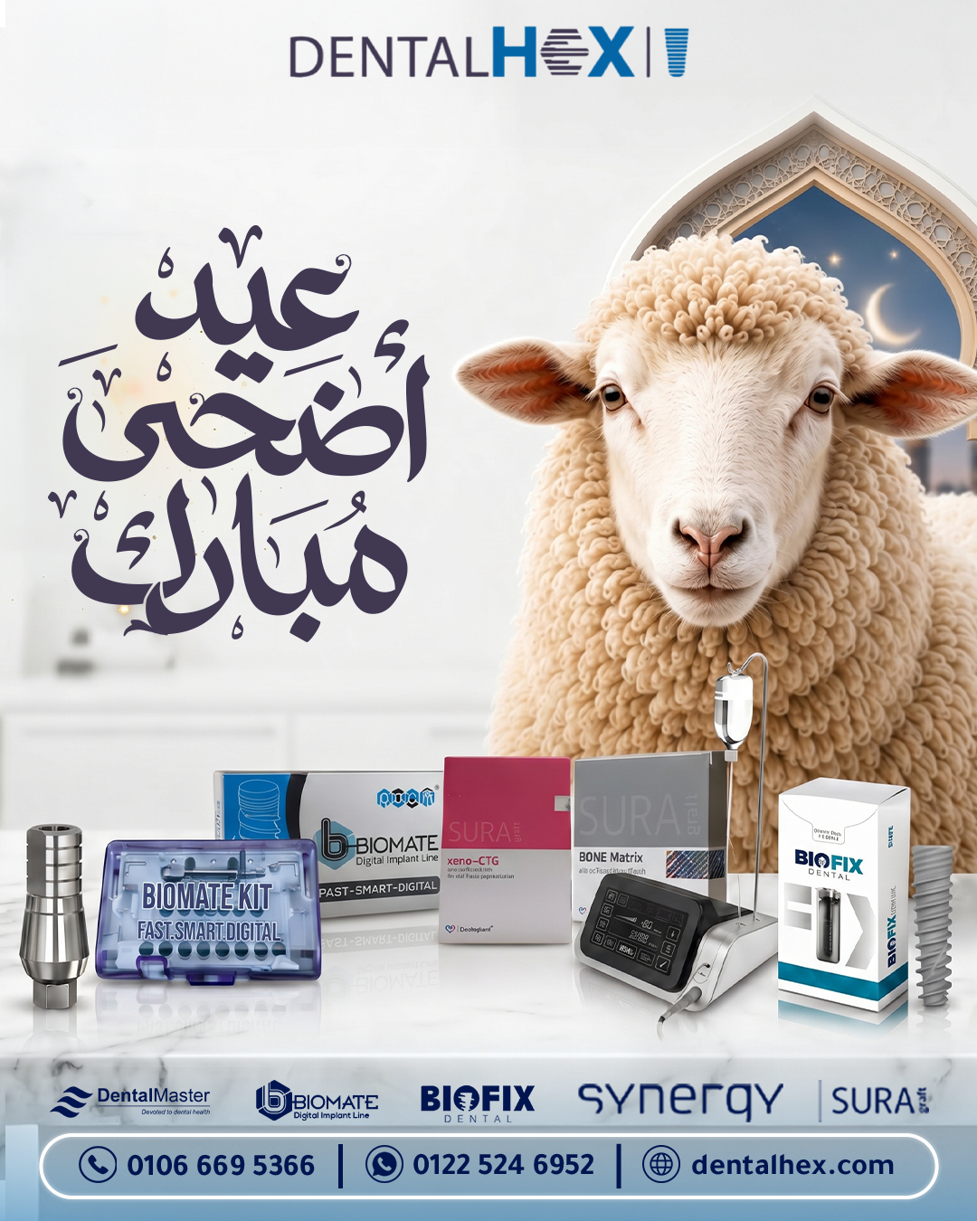 دينتال عيد.png
