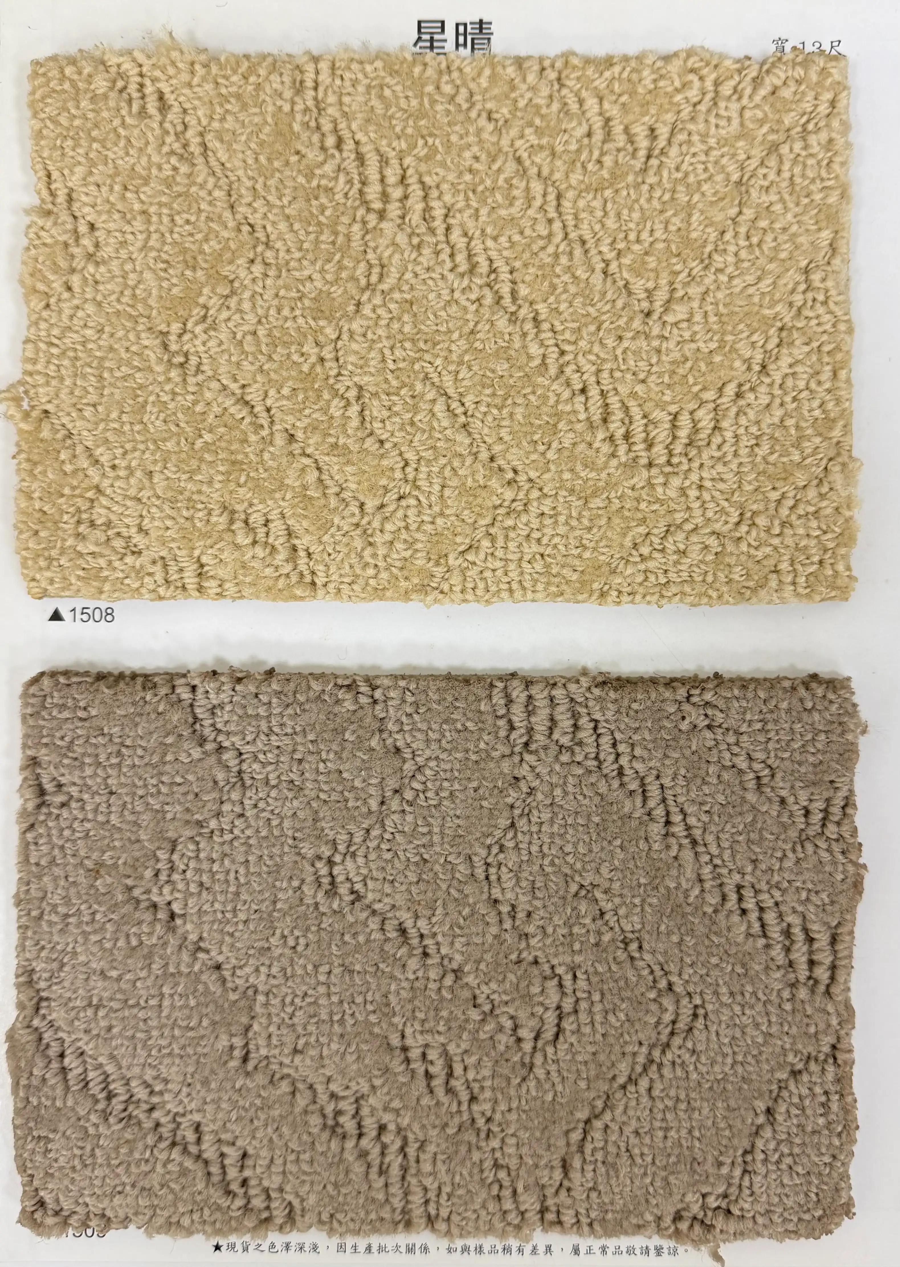 滿鋪地毯-新星晴系列 滿鋪地毯產品照片 2