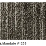 方塊地毯-Mandate 曼達洛系列 方塊地毯產品照片 3