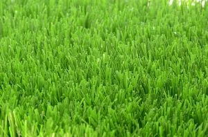 30mm夏綠地 人工草皮產品照片 2