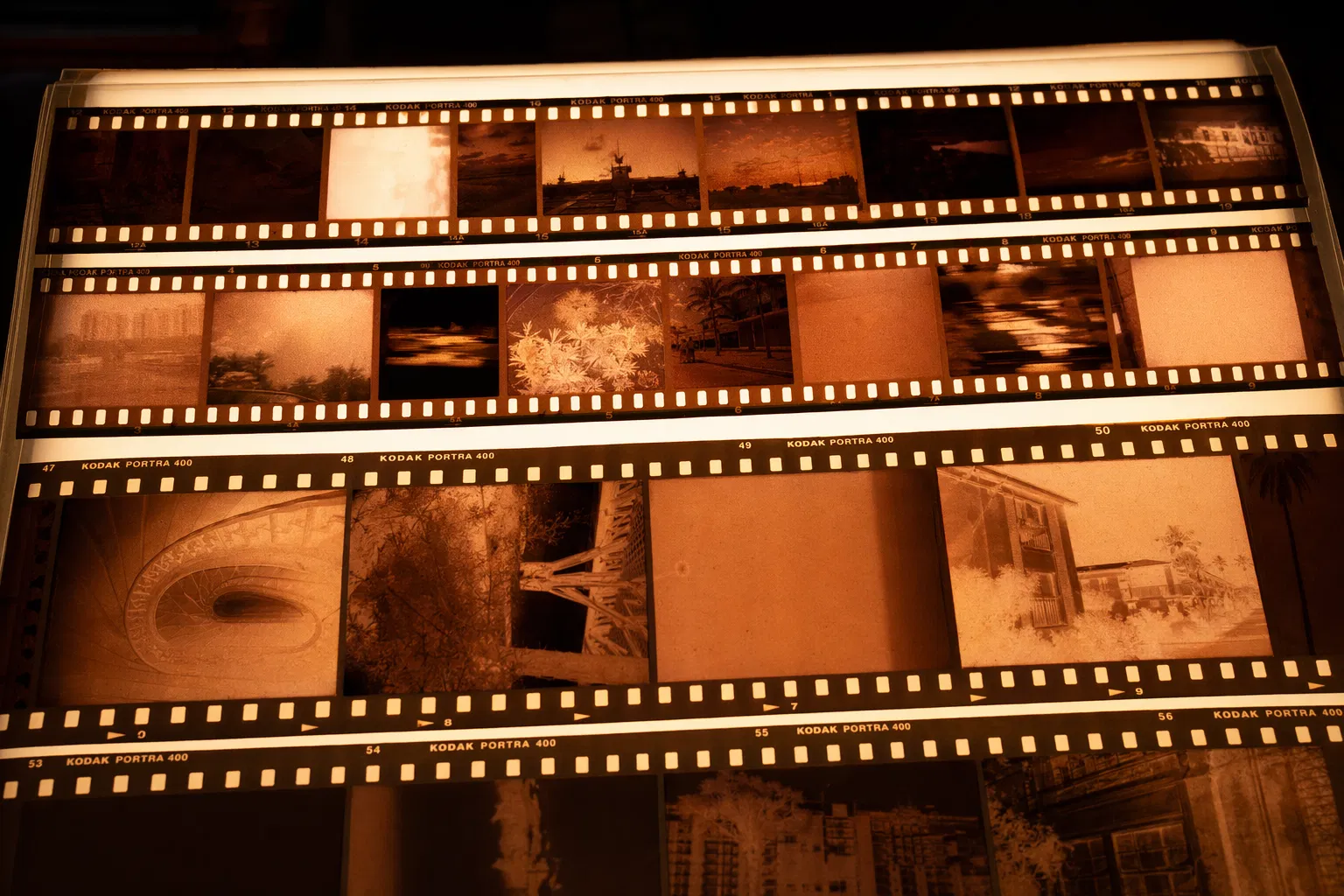 35mm and 120 film strips on a light table