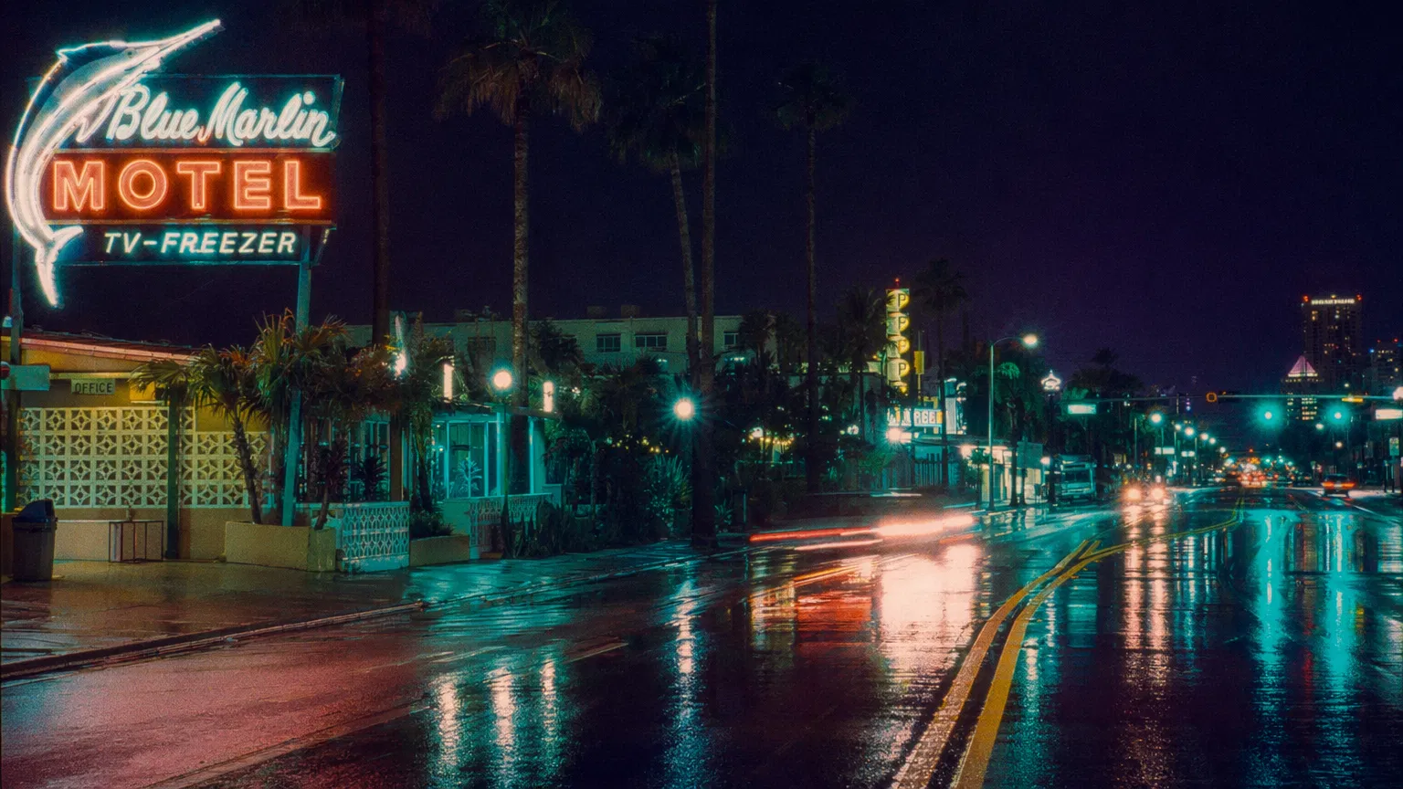 Florida at night shot on Cinestill 800T film by Jackson Laurie