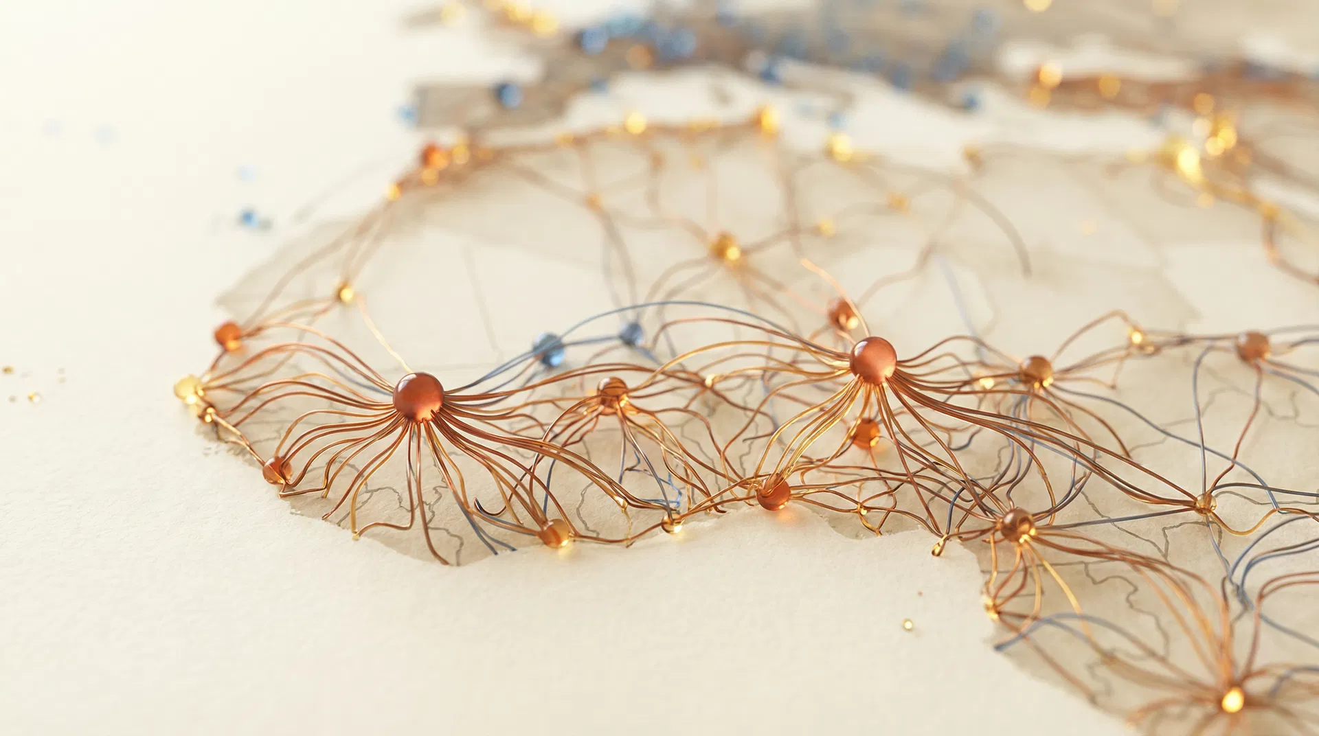 Réseau de connexions