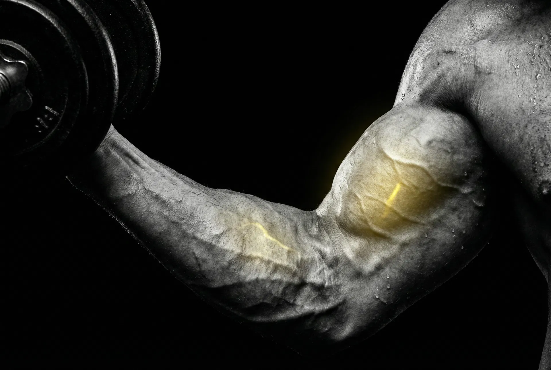 Deep cellular hydration and massive pumps