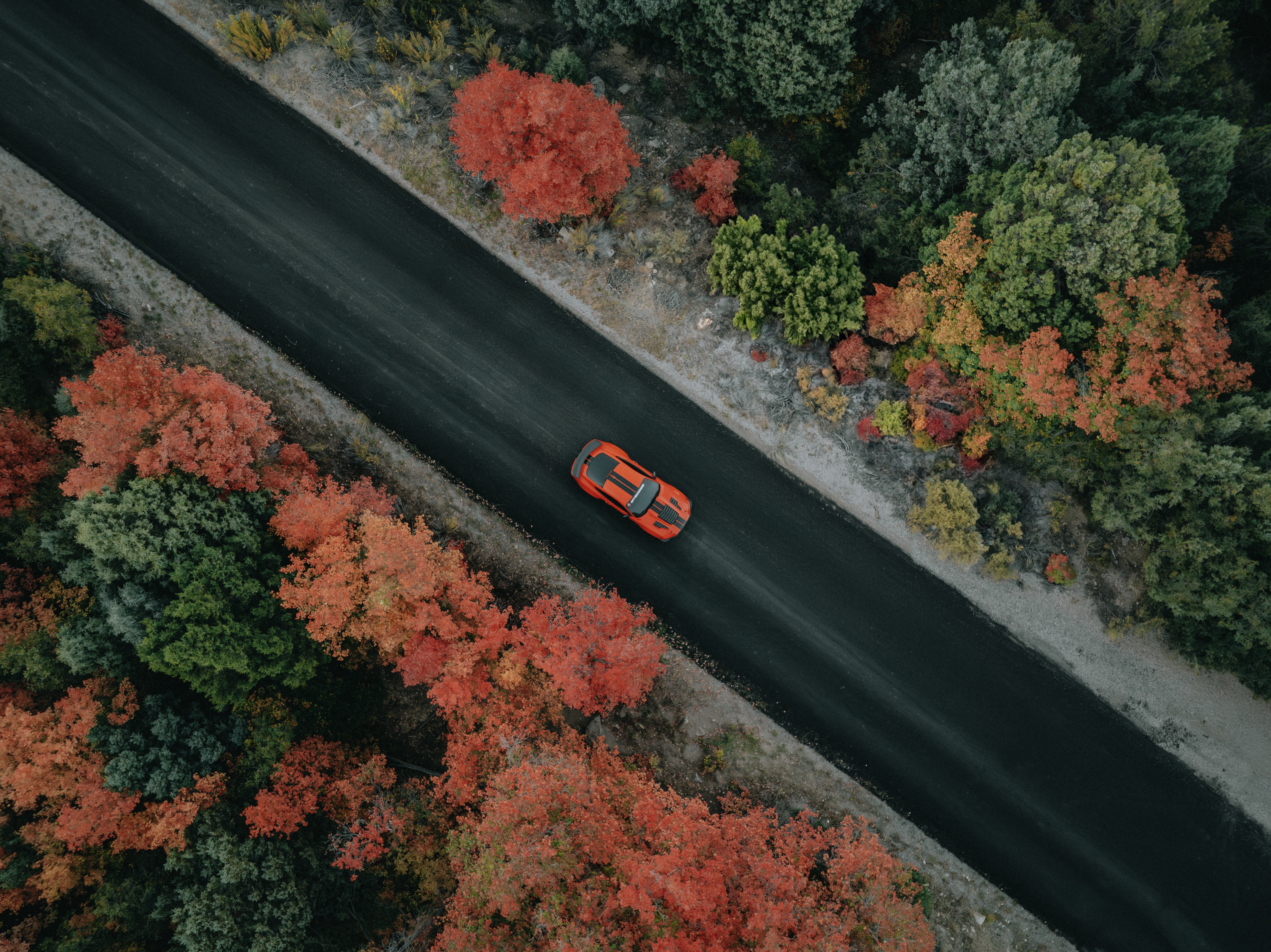 Precision in Autumn