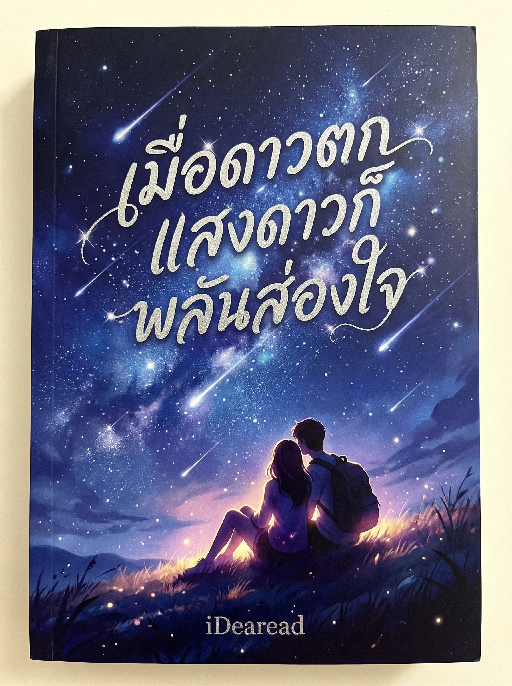 อ่านเมื่อดาวตก แสงดาวก็พลันส่องใจฟรี นิยายออนไลน์จบแล้ว - NIYAITHAI24.COM
