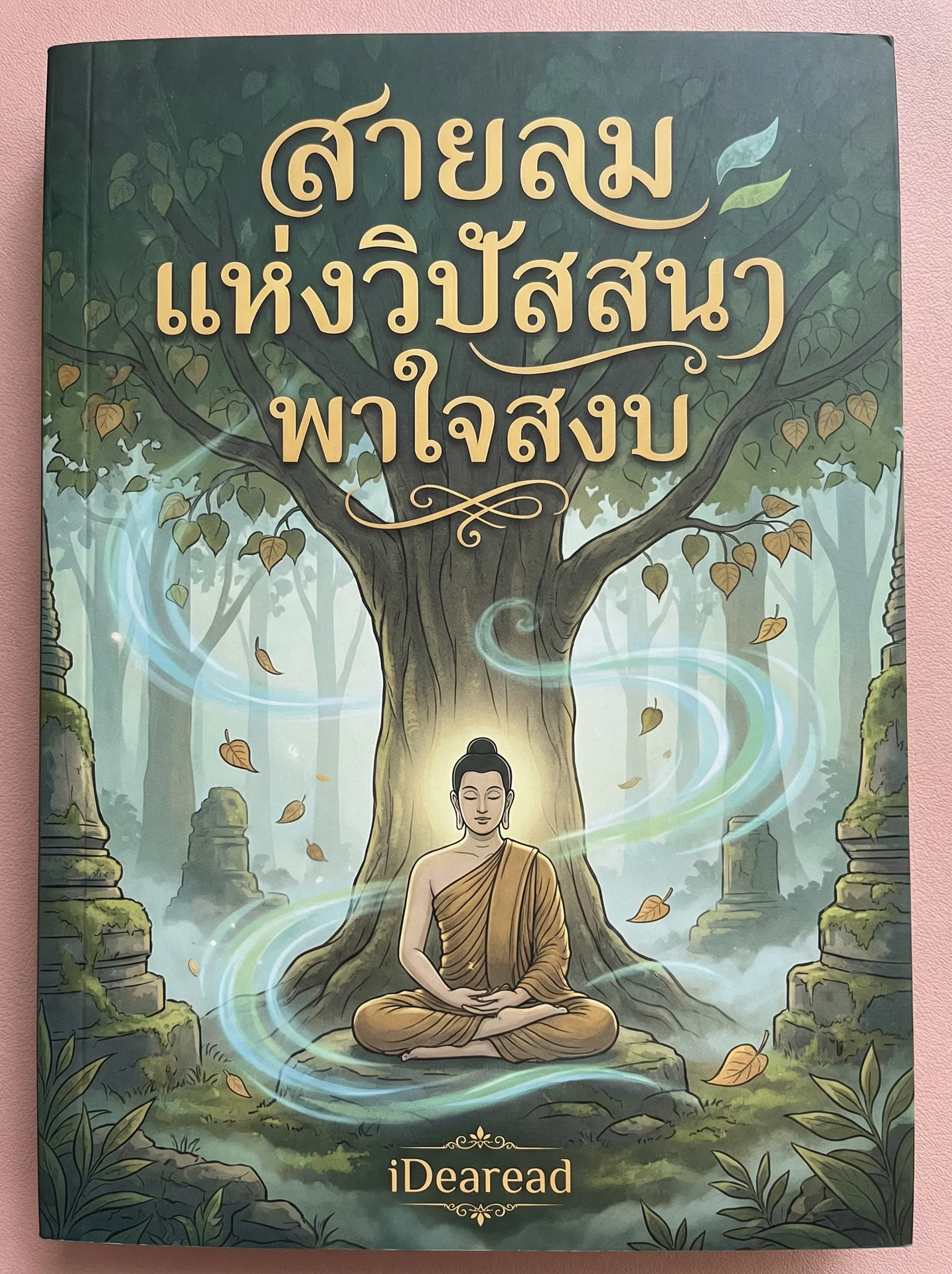 อ่านสายลมแห่งวิปัสสนาพาใจสงบฟรี นิยายออนไลน์จบแล้ว - NIYAITHAI24.COM