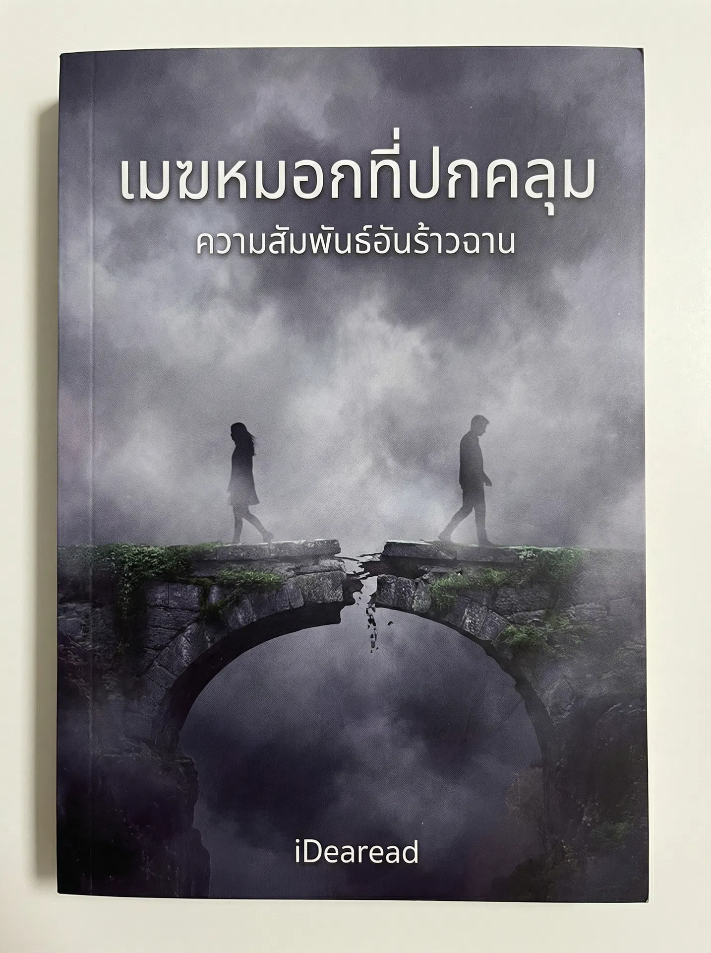 อ่านเมฆหมอกที่ปกคลุมความสัมพันธ์อันร้าวฉานฟรี นิยายออนไลน์จบแล้ว - NIYAITHAI24.COM