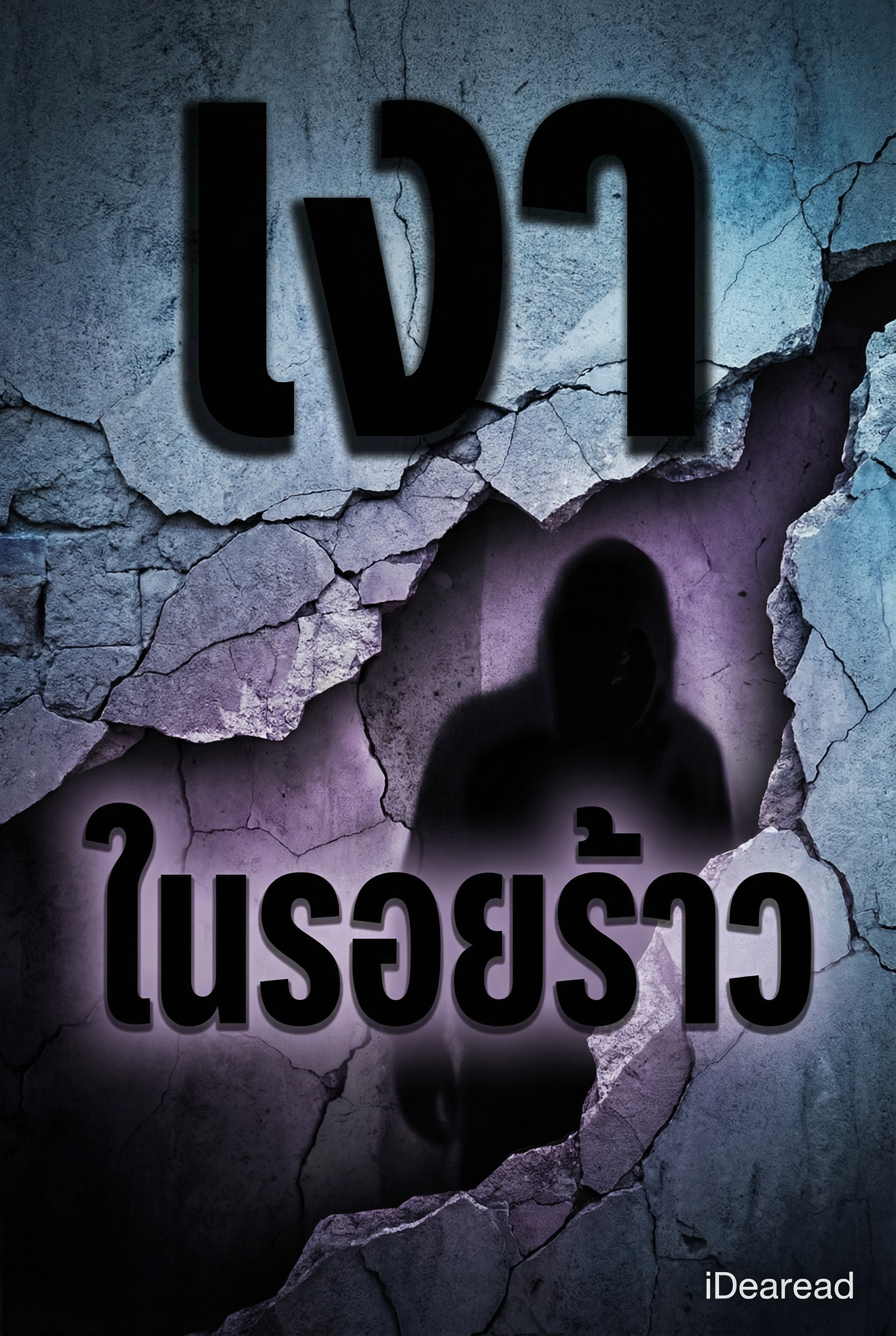 เงาในรอยร้าว