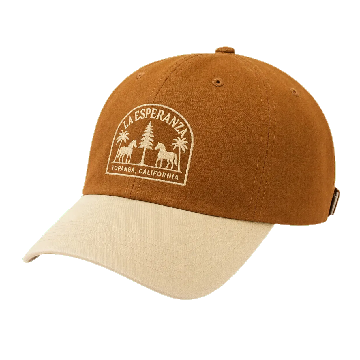 Canyon Brown Cap