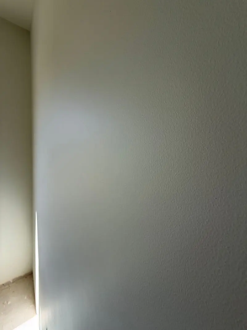 professional painter