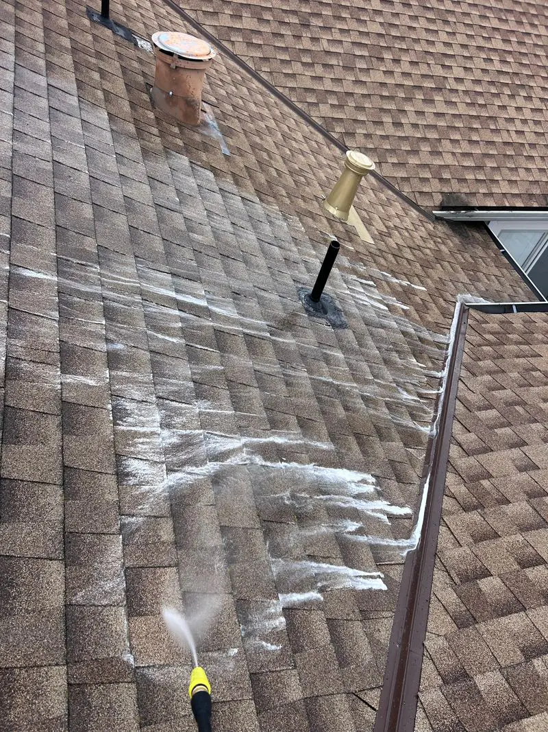 wash roofing project San Jose