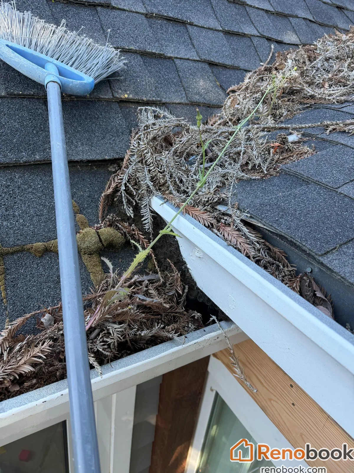 Handyman Project Santa Clara CA clean gutter
